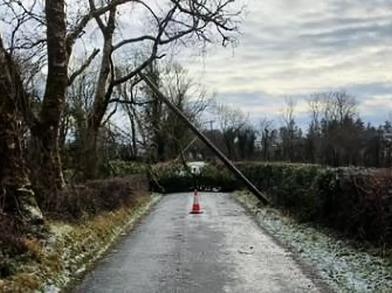 Dáil will hear calls for ESB to compensate those left without power in storm aftermath