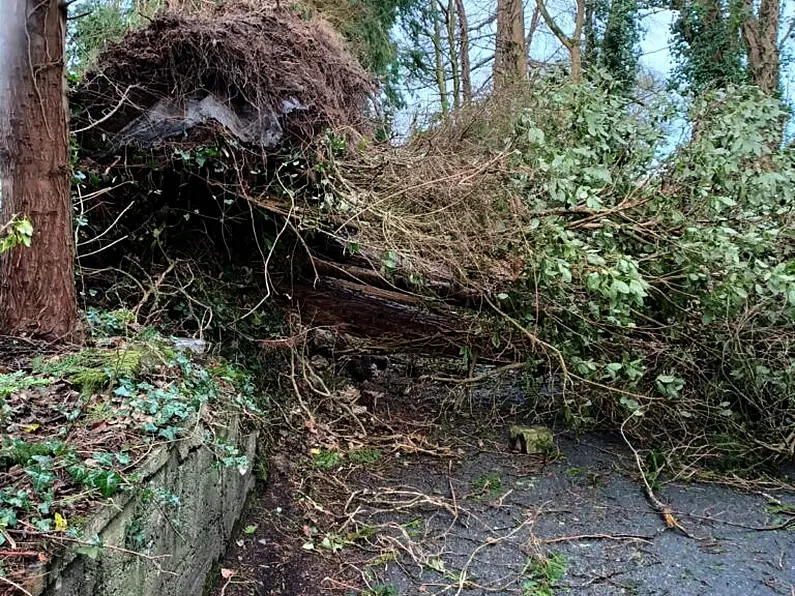 Financial assistance sought for local farmers following storm damage