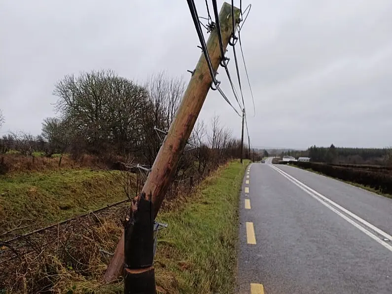 Leitrim Councillor unimpressed by new forestry Minister