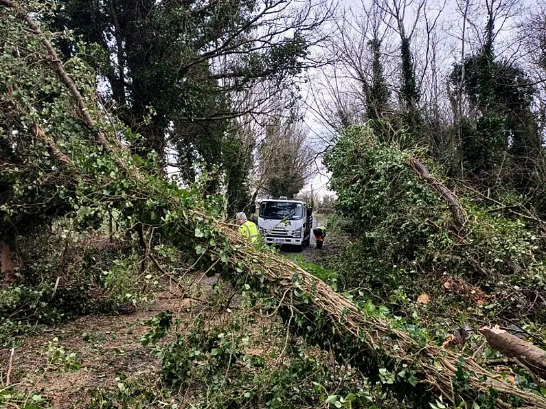 Save Leitrim call for balance following Storm Éowyn