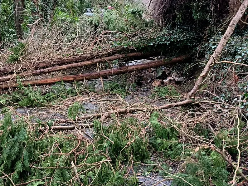 Communities across Leitrim destroyed by Storm, Dail hears