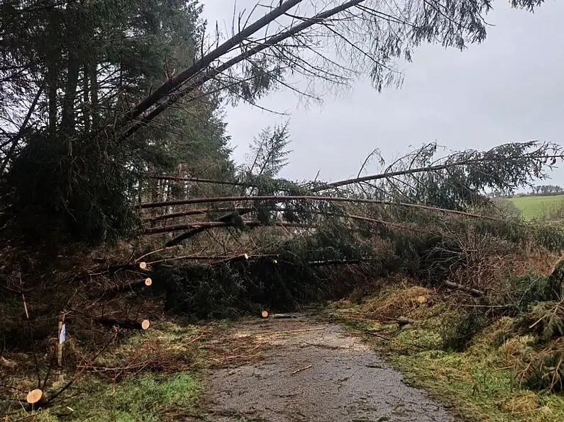 Calls for rates rebate for storm-hit businesses in Leitrim