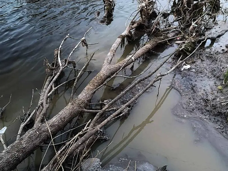 Detergents & Chemicals being dumped into Collooney Sewage Plant