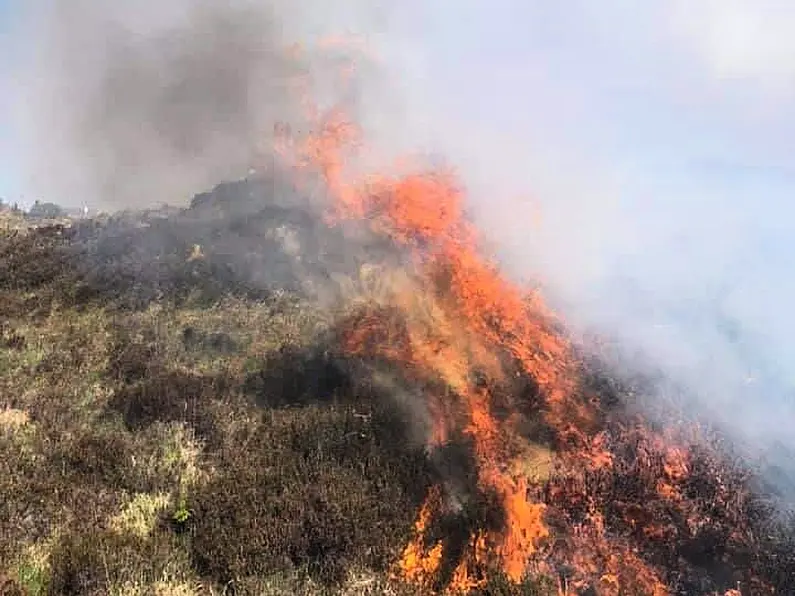 Emergency services tackle gorse fire in Donegal