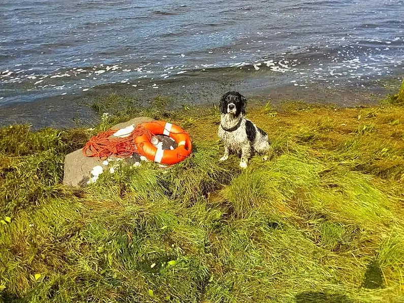 Removal of Lifebuoys is putting lives at risk.