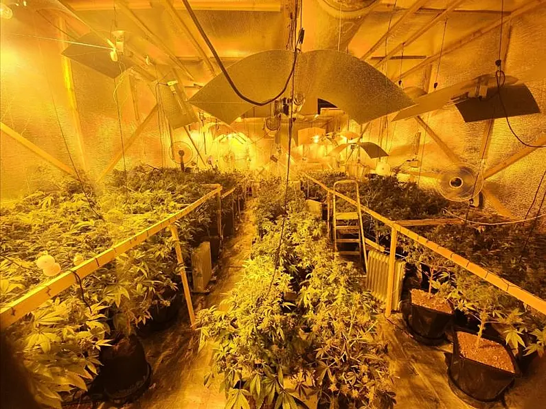 Donegal Gardaí discover cannabis growhouse