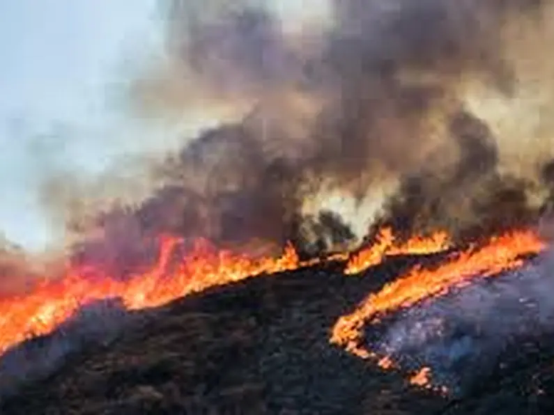 Local farmers hoping to help those hit by wildfires in Australia