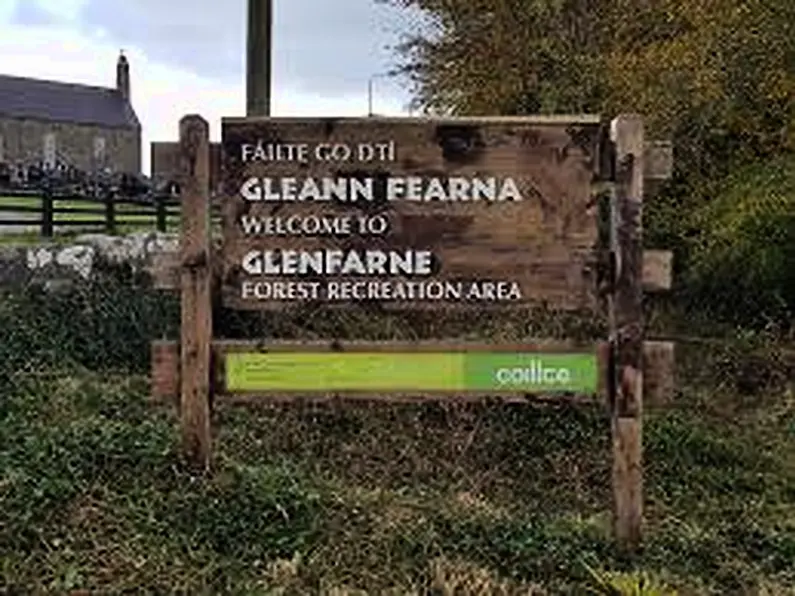 Glenfarne Wood study goes online