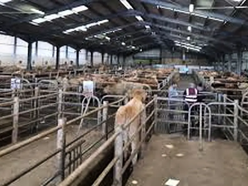 Call for closure of marts to be revisited