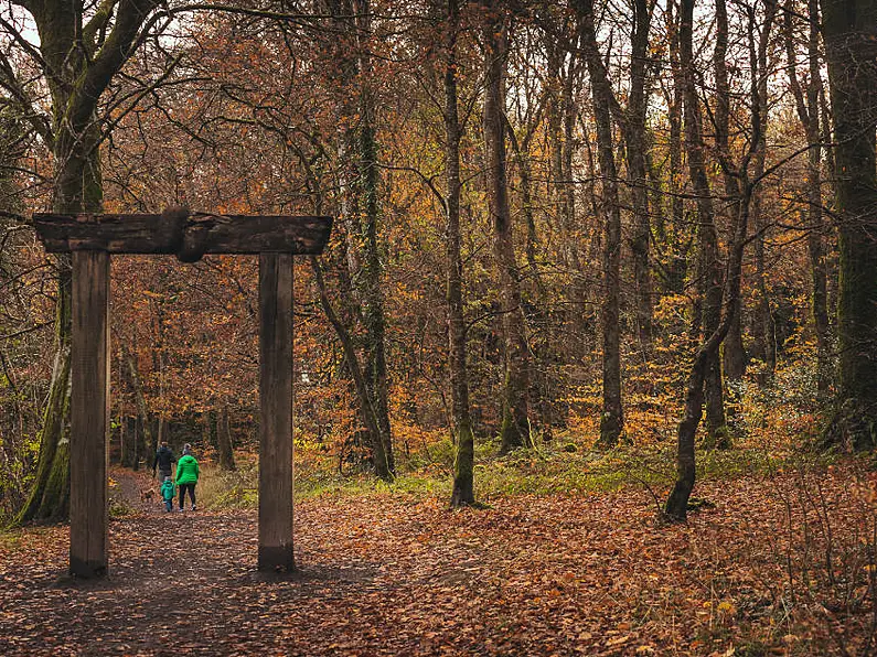 Parts of Hazelwood forest closed this week due to biodiversity works