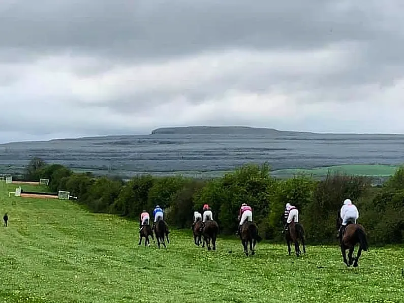 Point to Point racing suspended in Ireland