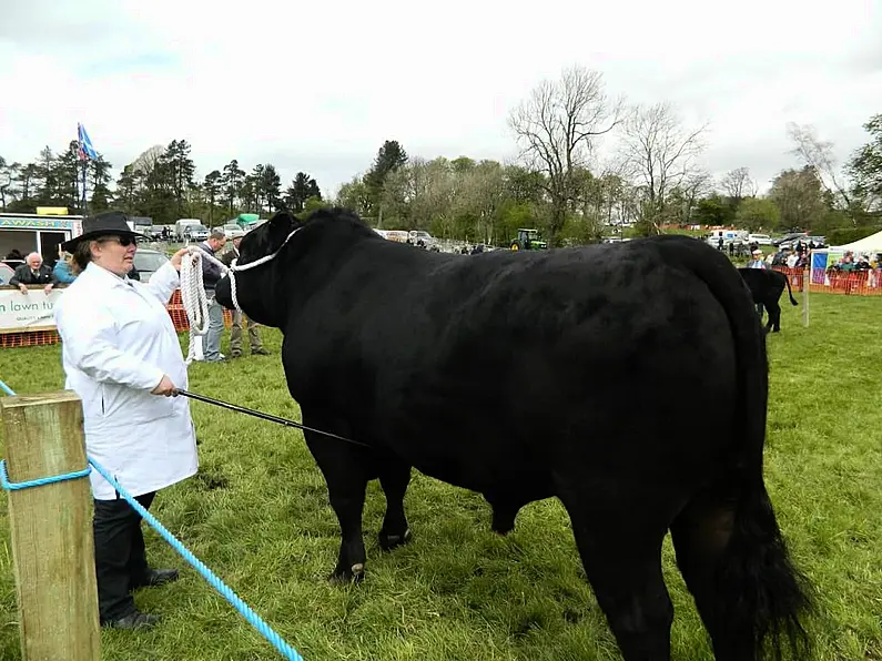 Frustrating times for agricultural show organisers