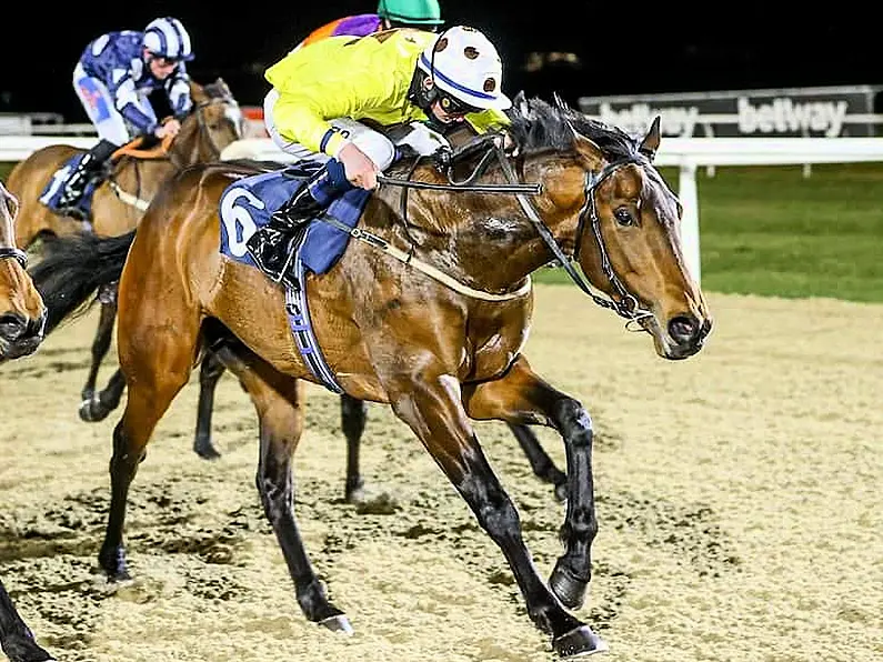 Sligo jockey secures full-time pro licence