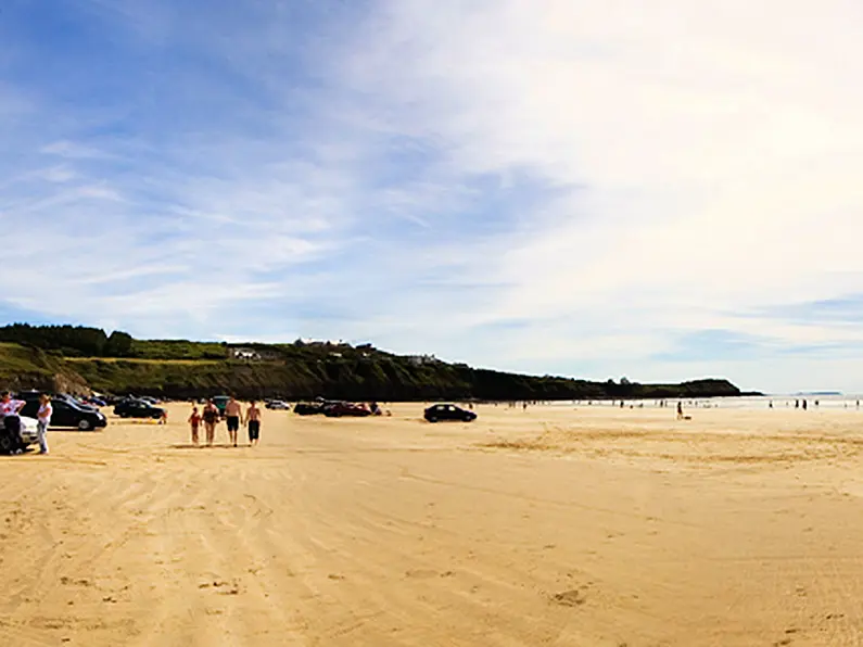 Whale stranded on Rossnowlagh beach