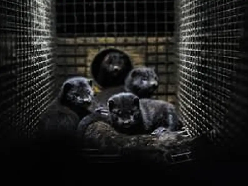 Bill to ban fur farming