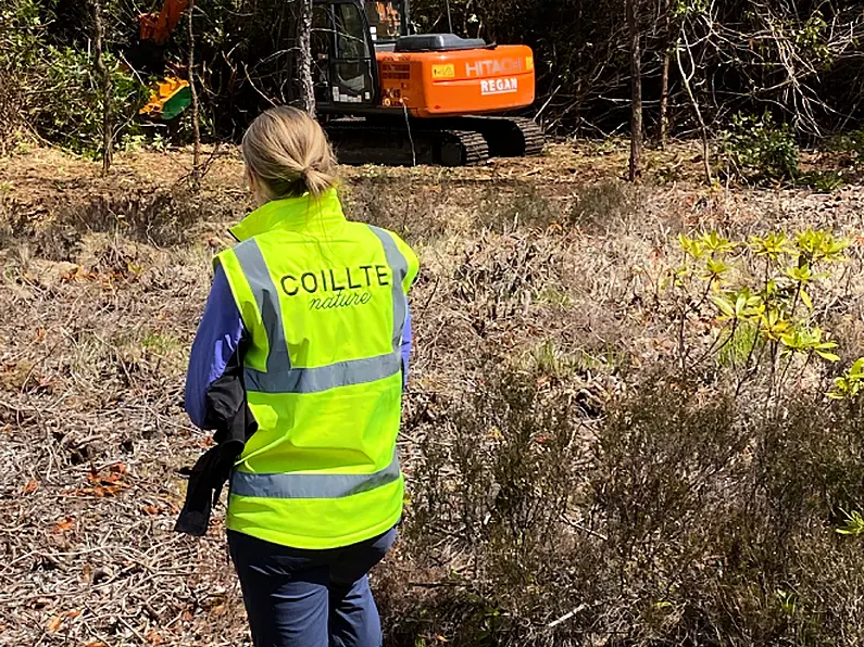 Hazelwood fully reopened following biodiversity works