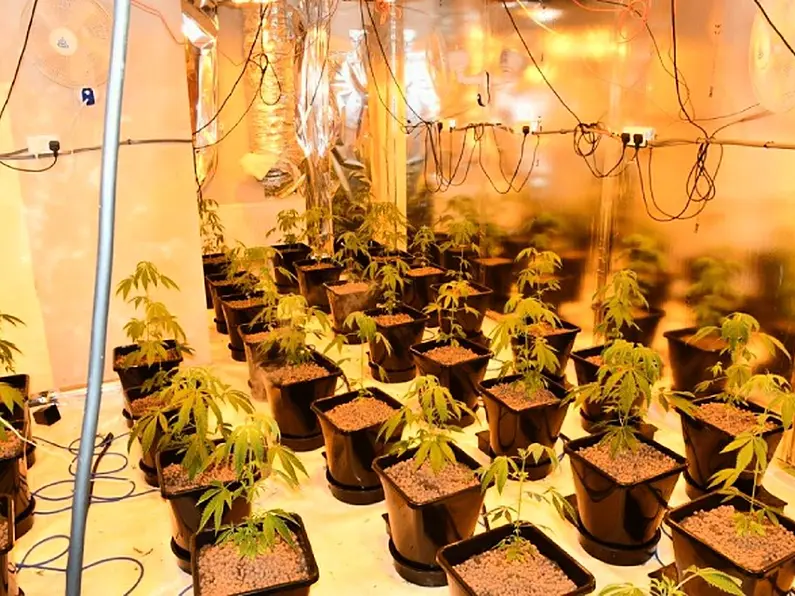 UPDATE: Man Charged. Four men arrested after €208,000 cannabis seizure