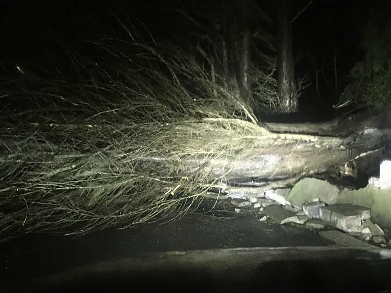 Storm Darragh results in trees down on roads in north west