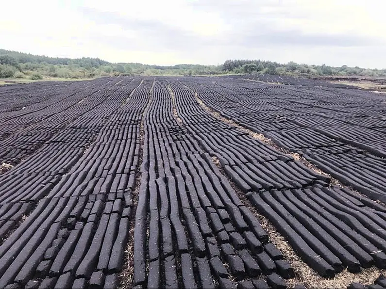 Local councillor express his disbelief with turf ban