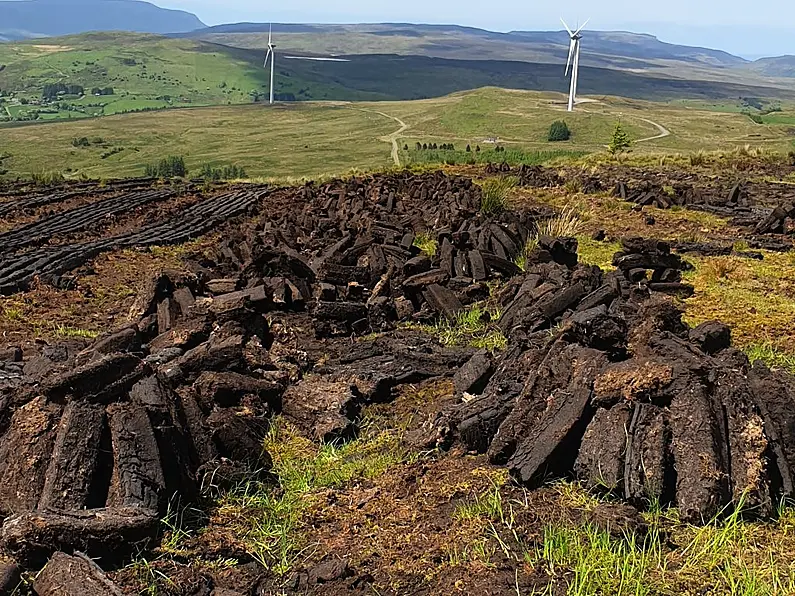 Sinn Fein motion calling to scrap ban on the commercial sale of turf is defeated