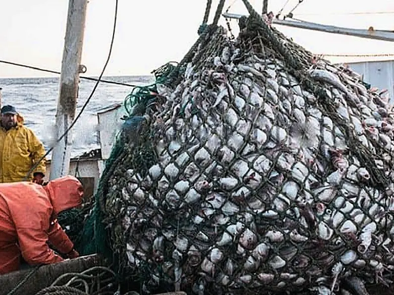 Fish could be off the menu as seafood sector struggles with energy costs