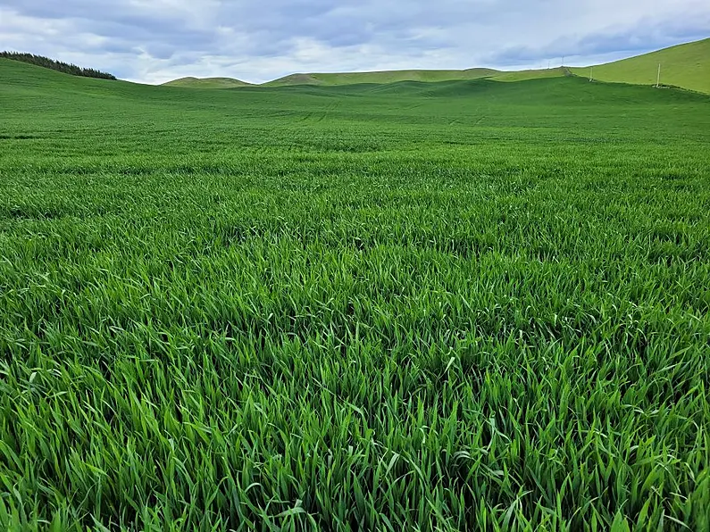 Independent TD says farmer's fear rising cost of fertiliser