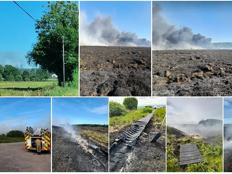 Appeal over forest fire in Fermanagh