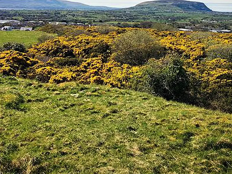 Green light for over 70 houses at Cairns Hill in Sligo