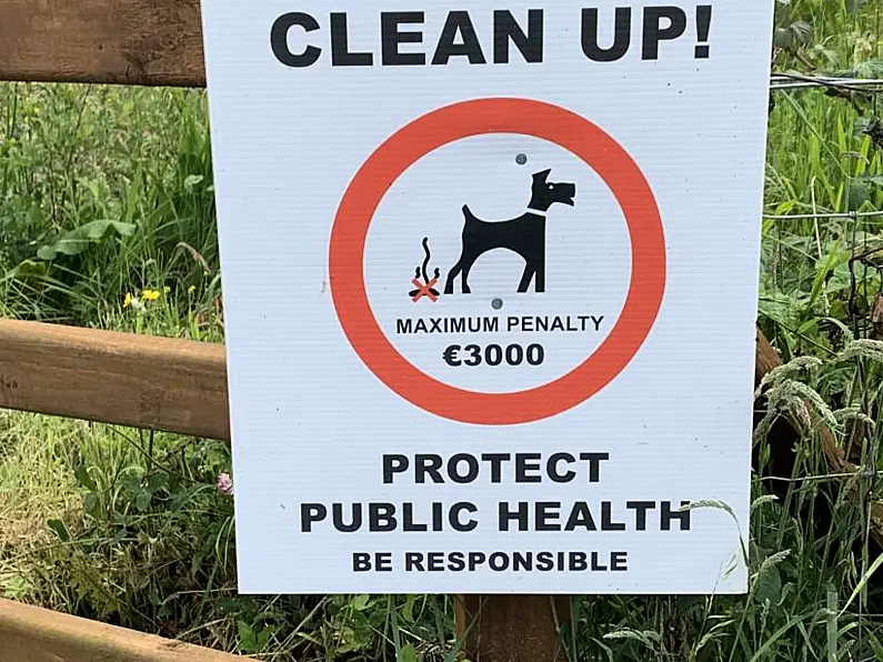 Local councillors express disappointment with lack of progress on dog fouling