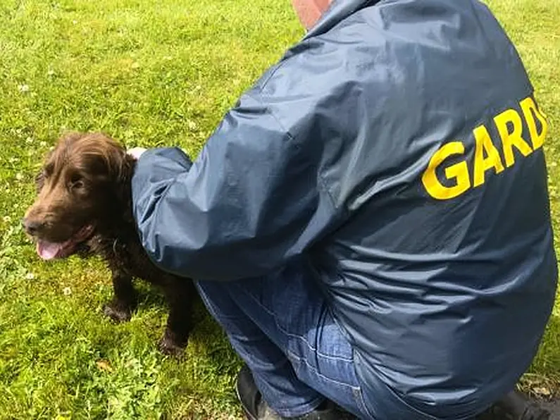 Cigarettes & cash seized in Roscommon