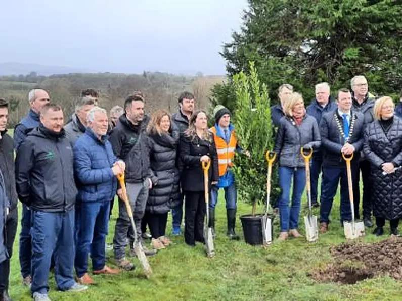 VIDEO: Minister plants tree, turns sod on 166-acre native woodland park in County Sligo