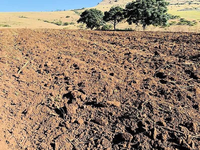 Minister McConalogue to present new tillage scheme to cabinet