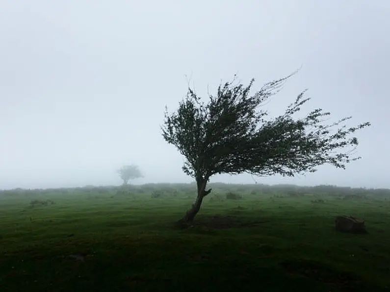 Wind warning for Donegal, Connacht until 10 o'clock this morning