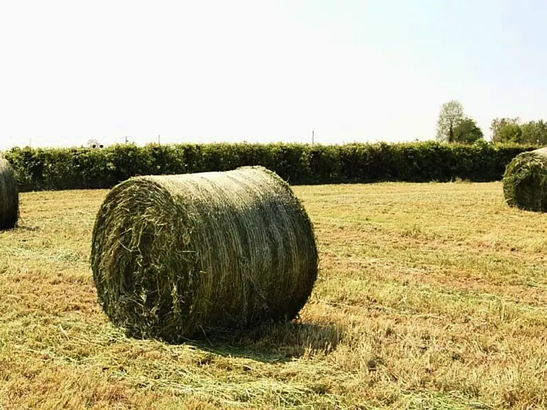 Donegal has most expensive straw bales in Ireland