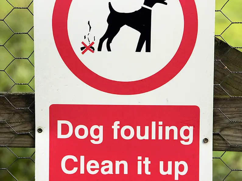 No dog fouling fines handed out in Sligo, Leitrim or Donegal last year