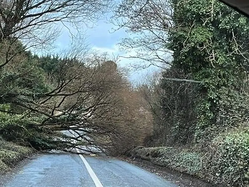 Tree down on Hungry Rock Road