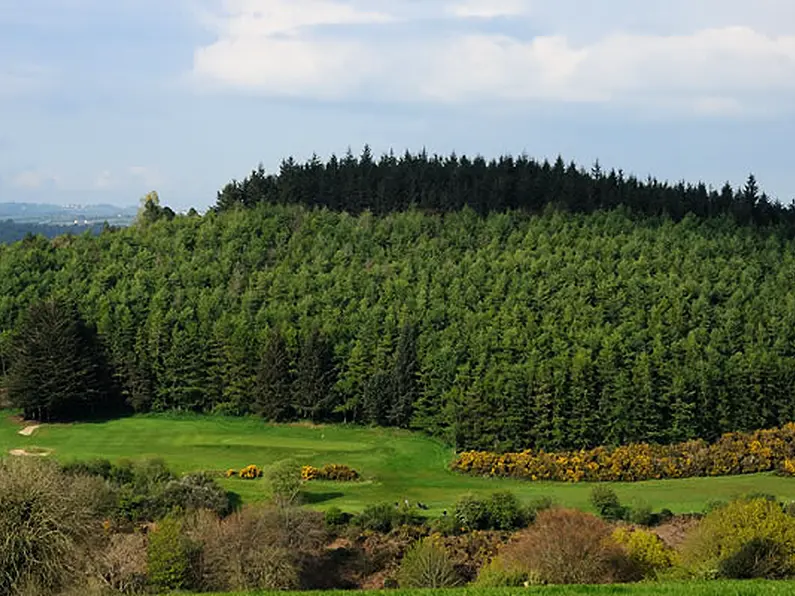 Coillte teams extremely active in Leitrim following Storm Darragh