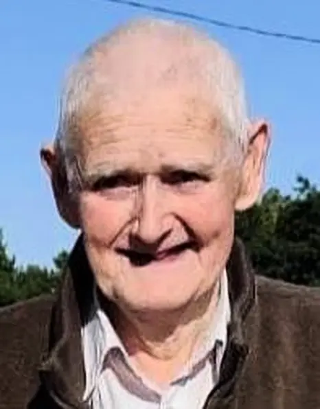 Seamus Brennan (Gentle)