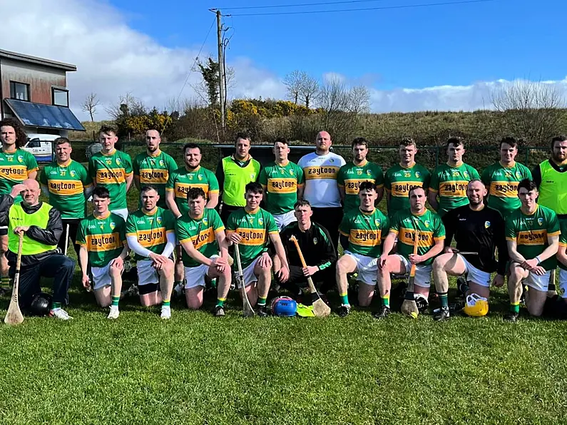 Leitrim hurlers earn home semi-final after Longford win