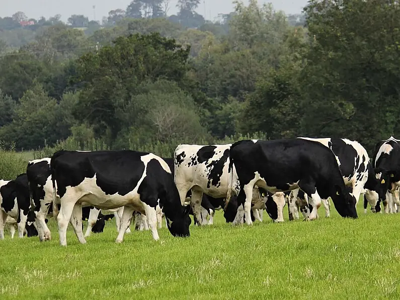 Sligo Leitrim TD raises farming needs to Taoiseach