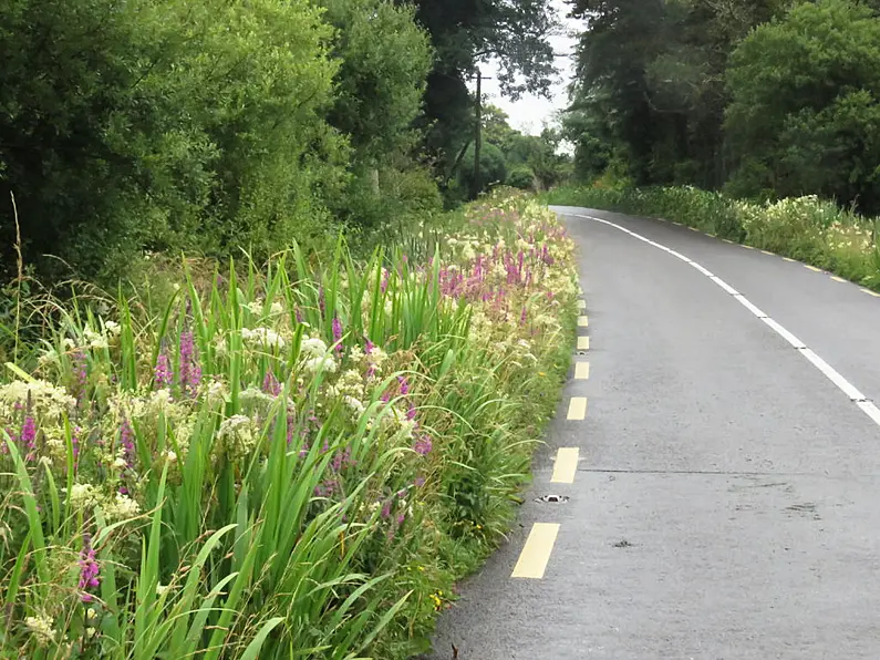 €42 million allocated towards Donegal roads