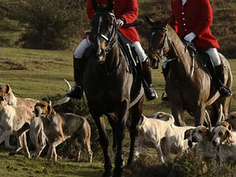 Debate on control of fox population causes lively exchanges