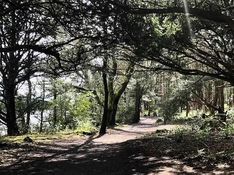 Hazelwood Forest closed for essential works