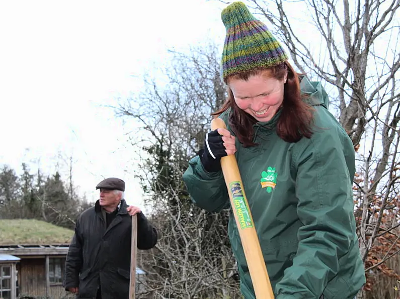 Annual Potato Day being held in Leitrim this weekend