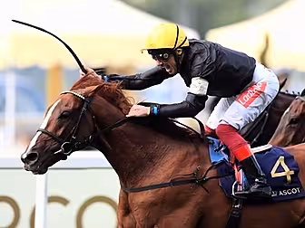 Frankie Dettori on fire again...