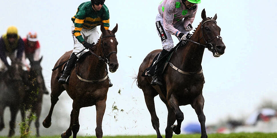 G-G-G-Galway: Four horses to p...