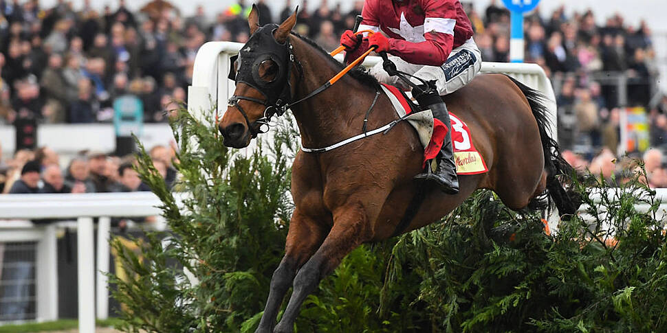 Tiger Roll Cheltenham Doubt Grand National Winner Needs Chip