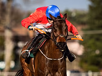 More Grade One glory for Racha...