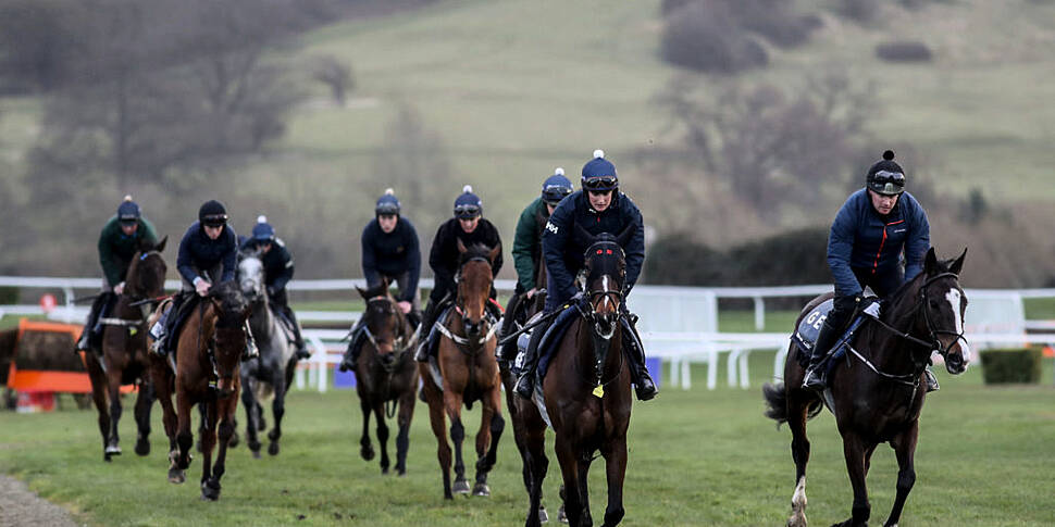 Cheltenham Wednesday | OTB's b...