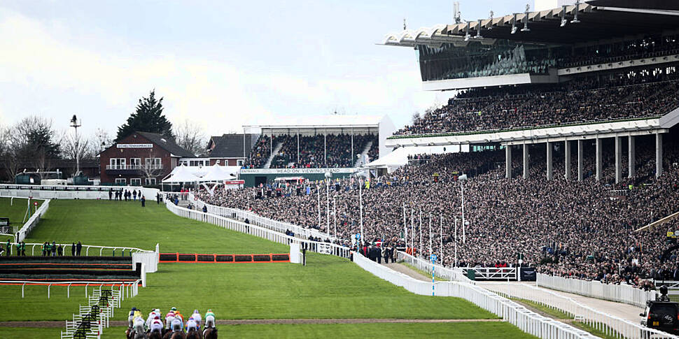 CHELTENHAM TIPS | COMPREHENSIV...